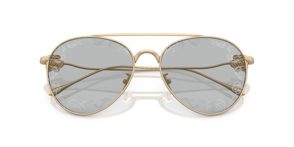 Giorgio Armani AR6167 3002AL