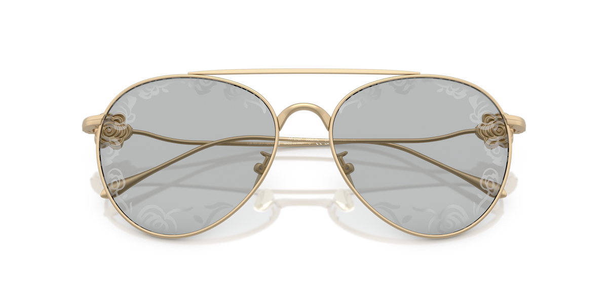 Giorgio Armani AR6167 3002AL