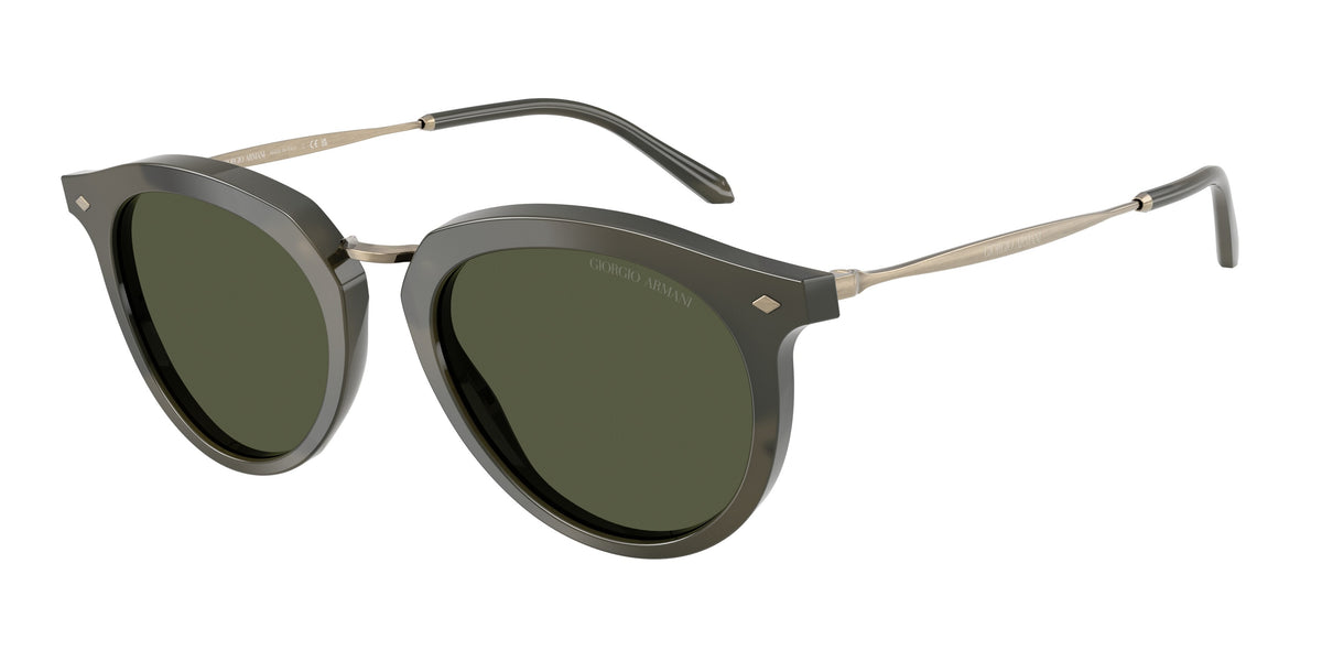 Giorgio Armani AR6191 646852