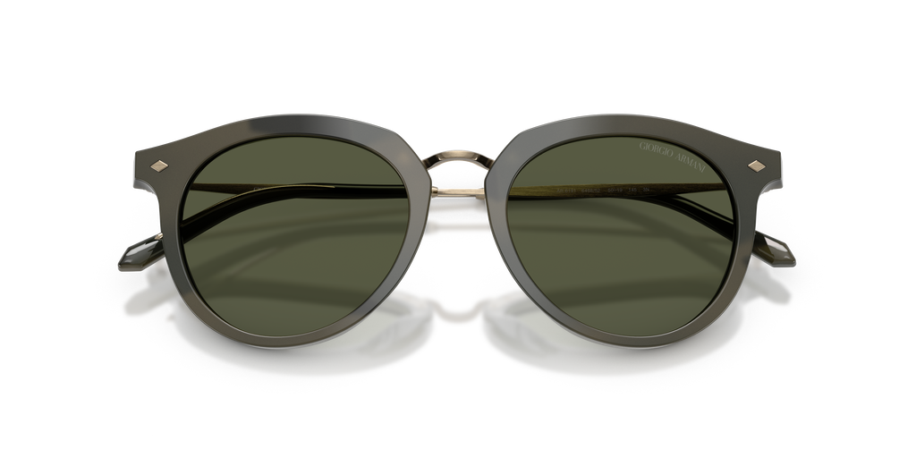 Giorgio Armani AR6191 646852