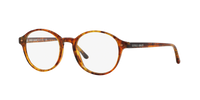Giorgio Armani AR7004 5191