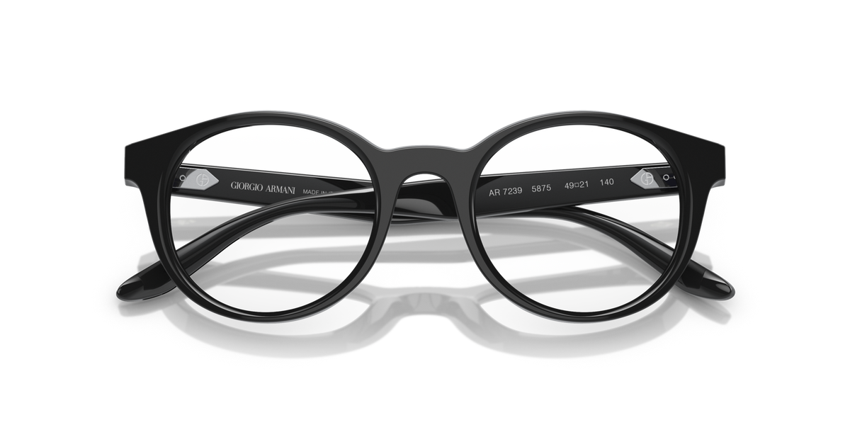 Giorgio Armani AR7239 5875