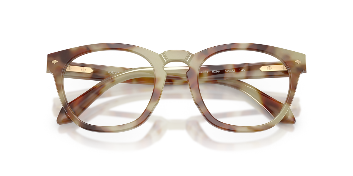 Giorgio Armani AR7284 6299