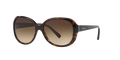 Giorgio Armani AR8047 502613