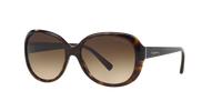 Giorgio Armani AR8047 502613
