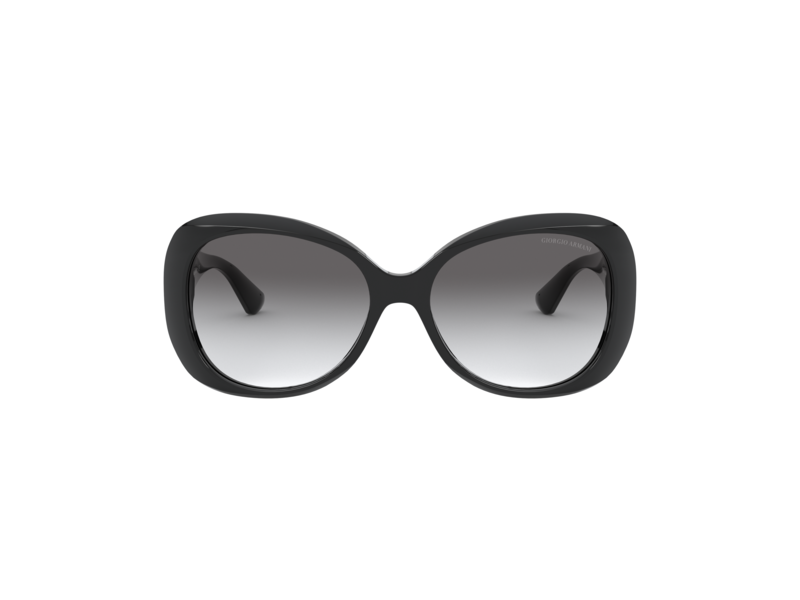 Giorgio Armani AR8132  500111