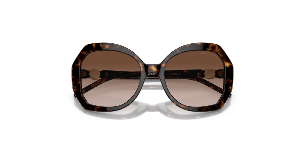 Giorgio Armani AR8180 502613