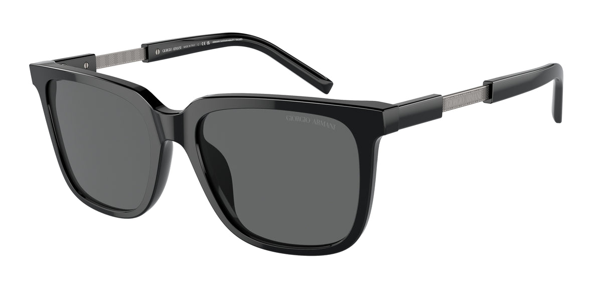 Giorgio Armani AR8202U 587587