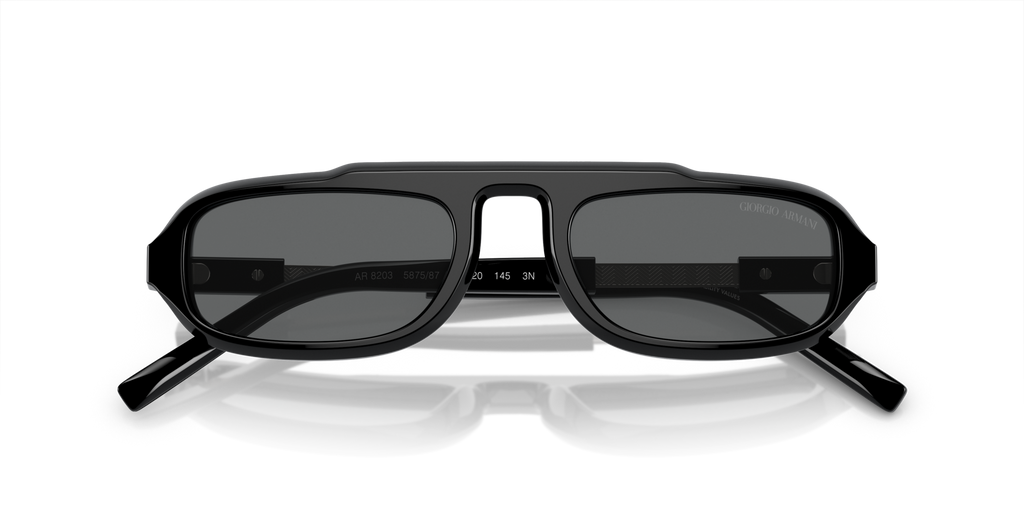 Giorgio Armani AR8203 587587