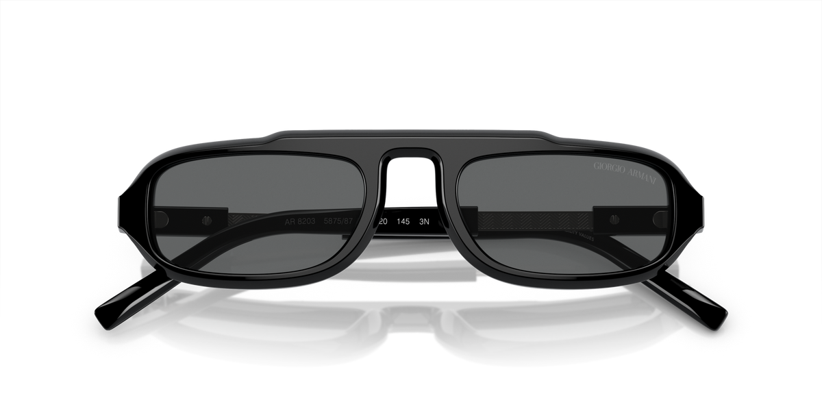 Giorgio Armani AR8203 587587
