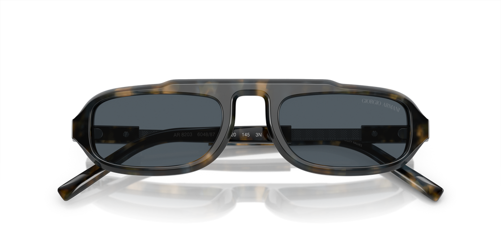 Giorgio Armani AR8203 604887
