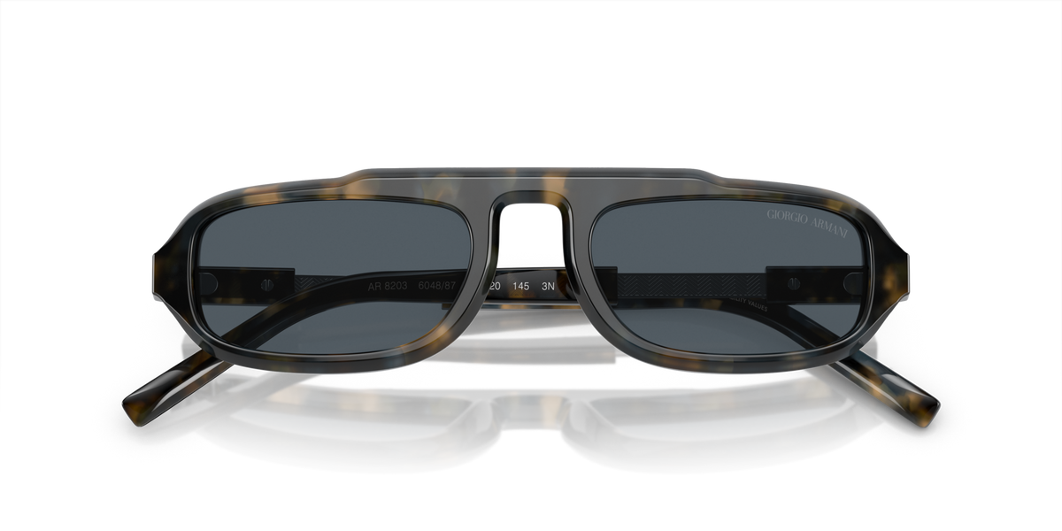 Giorgio Armani AR8203 604887