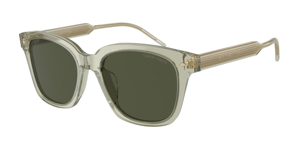 Giorgio Armani AR8210U 608331