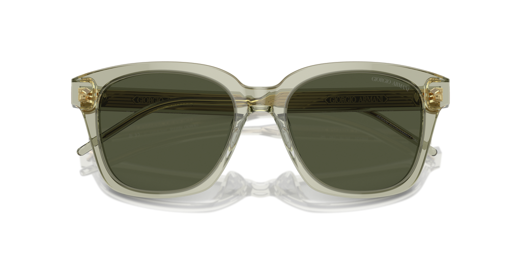 Giorgio Armani AR8210U 608331
