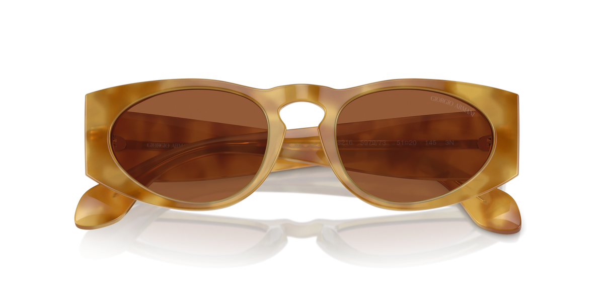 Giorgio Armani AR8216 597973