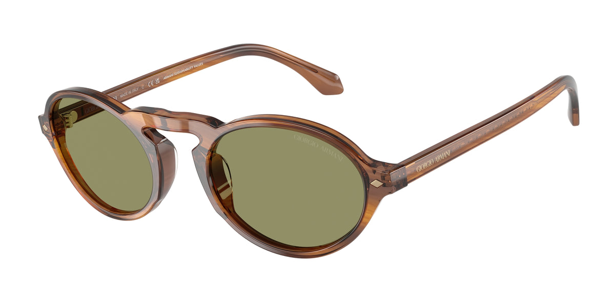 Giorgio Armani AR8219U 616314