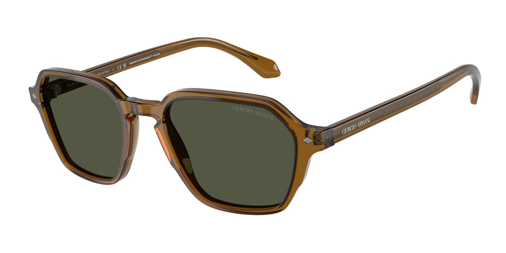 Giorgio Armani AR8220 617231