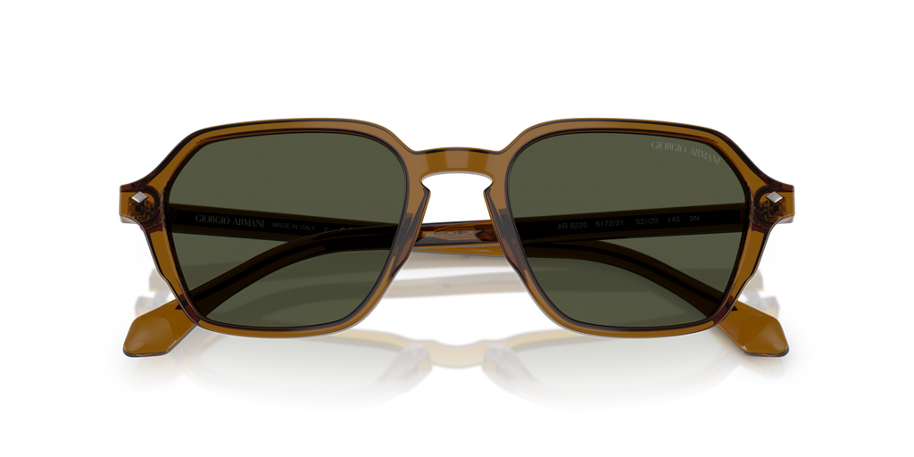 Giorgio Armani AR8220 617231