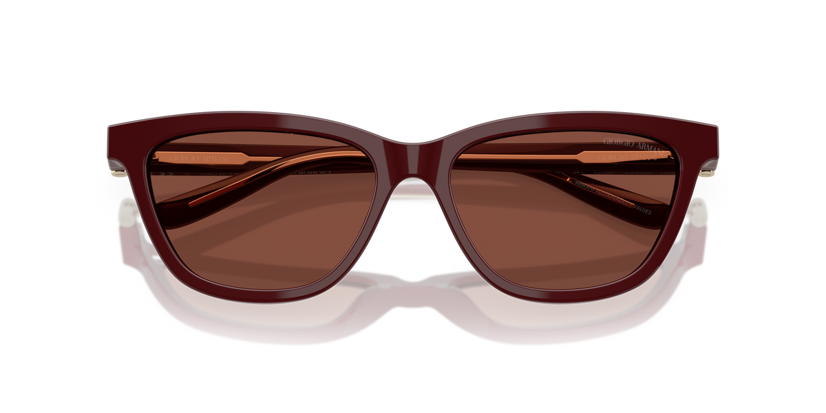 Giorgio Armani AR8221 5955C5