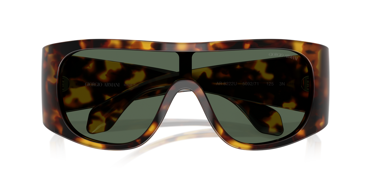 Giorgio Armani AR8222U 509271