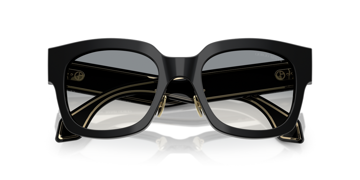 Giorgio Armani AR8223 500111