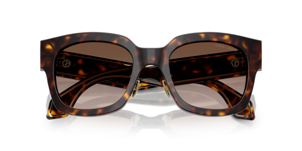 Giorgio Armani AR8223 502613