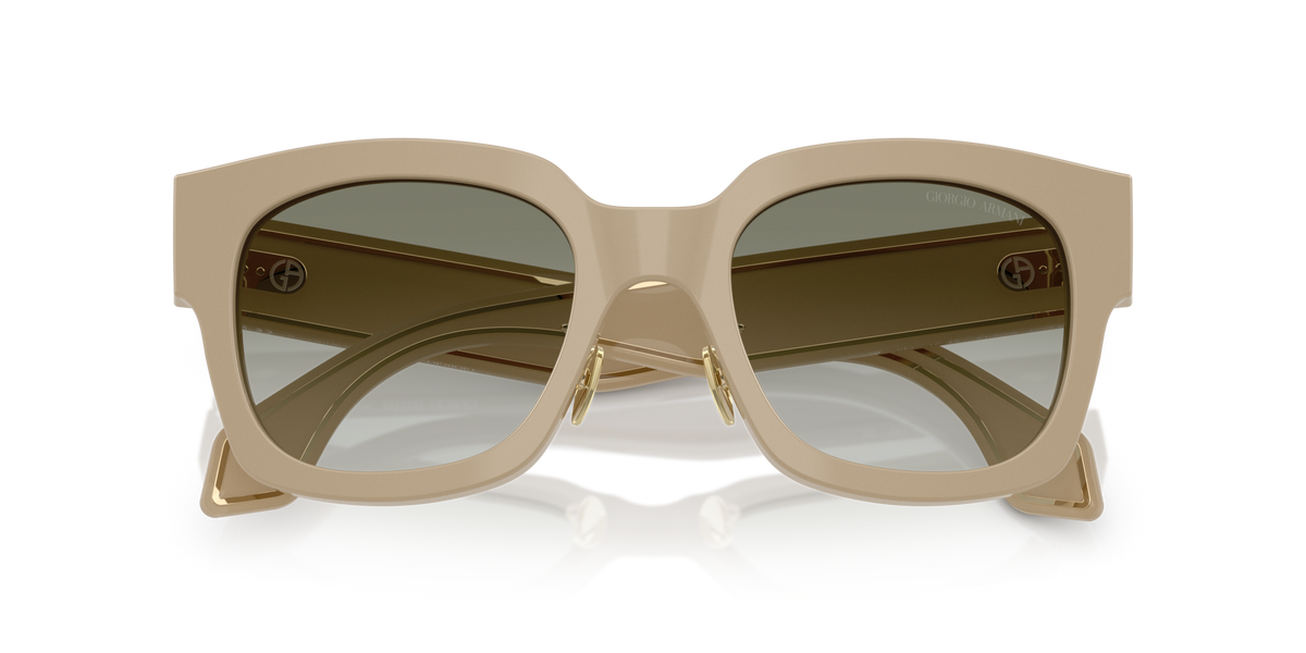 Giorgio Armani AR8223 61618E