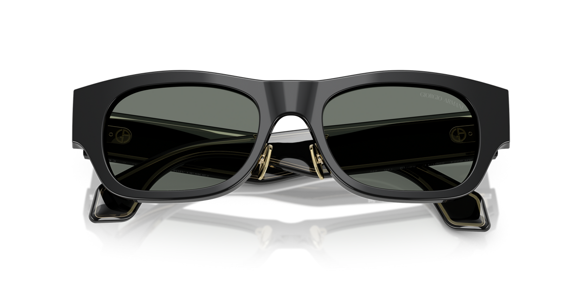 Giorgio Armani AR8224 500111