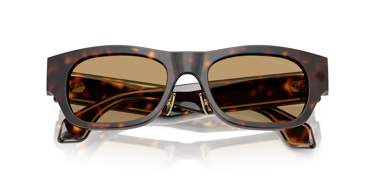 Giorgio Armani AR8224 502673