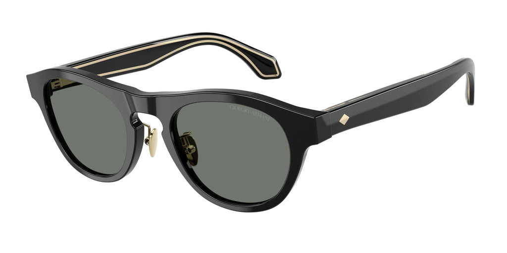Giorgio Armani AR8225 500111