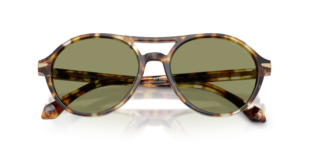 Giorgio Armani AR8236U 623214