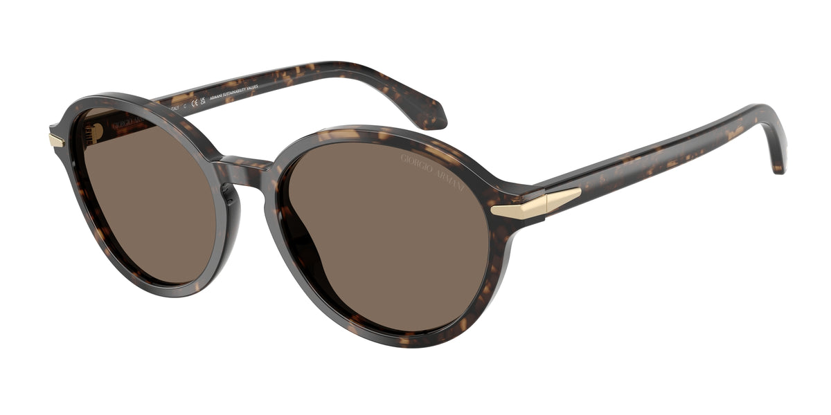 Giorgio Armani AR8237 623573