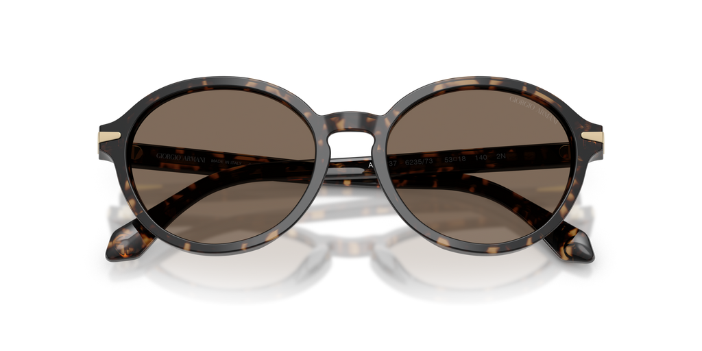 Giorgio Armani AR8237 623573