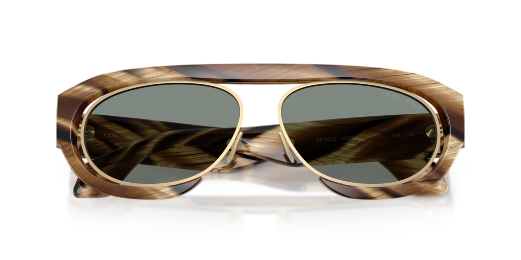 Giorgio Armani AR8239 6065/1