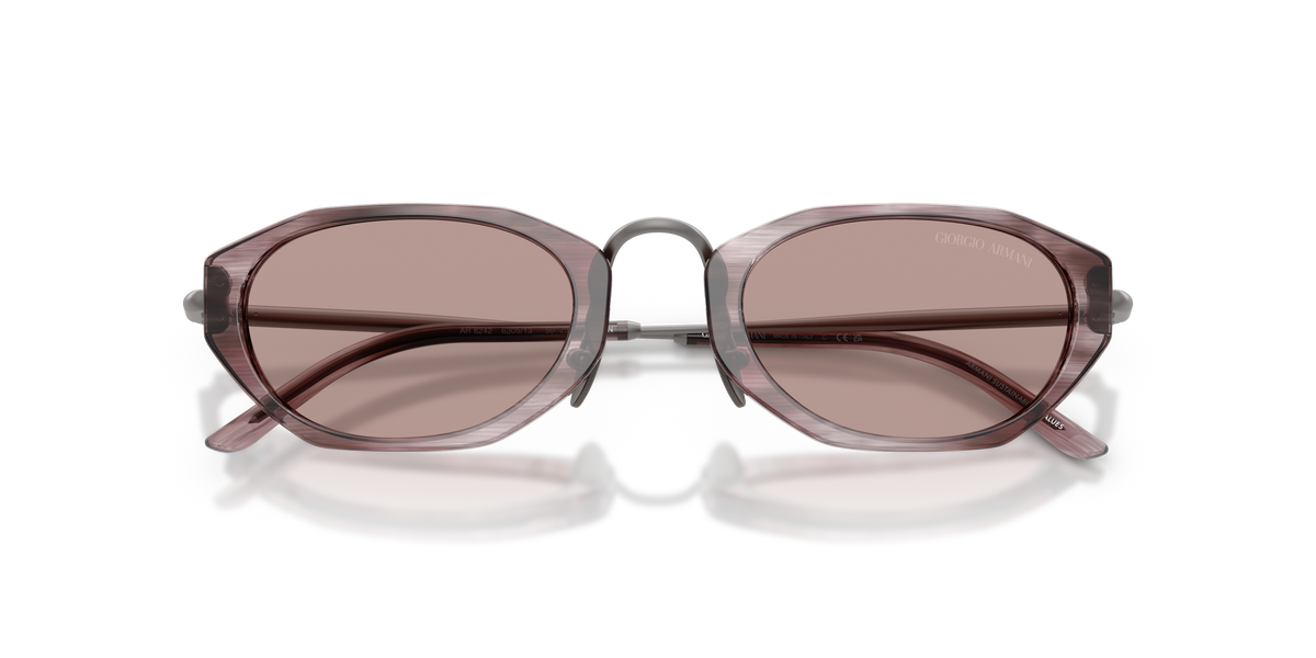 Giorgio Armani AR8242 630513