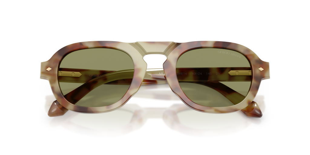 Giorgio Armani AR8244 629914
