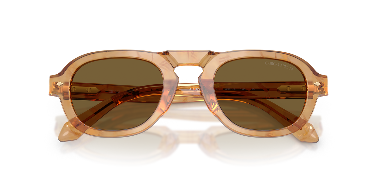 Giorgio Armani AR8244 630073
