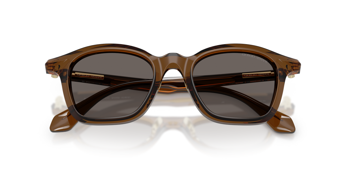 Giorgio Armani AR8257 642453