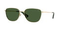 Burberry BE3171 110971