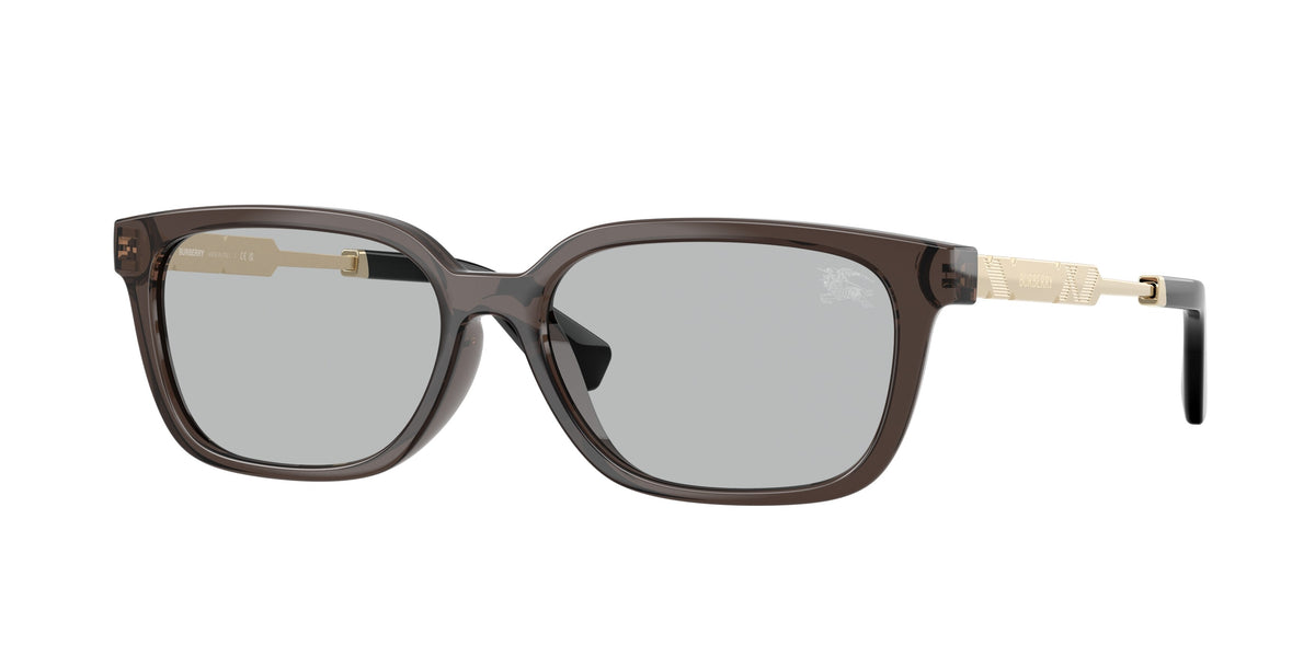Burberry BE4481D 411287