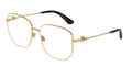Dolce & Gabbana DG1356 02