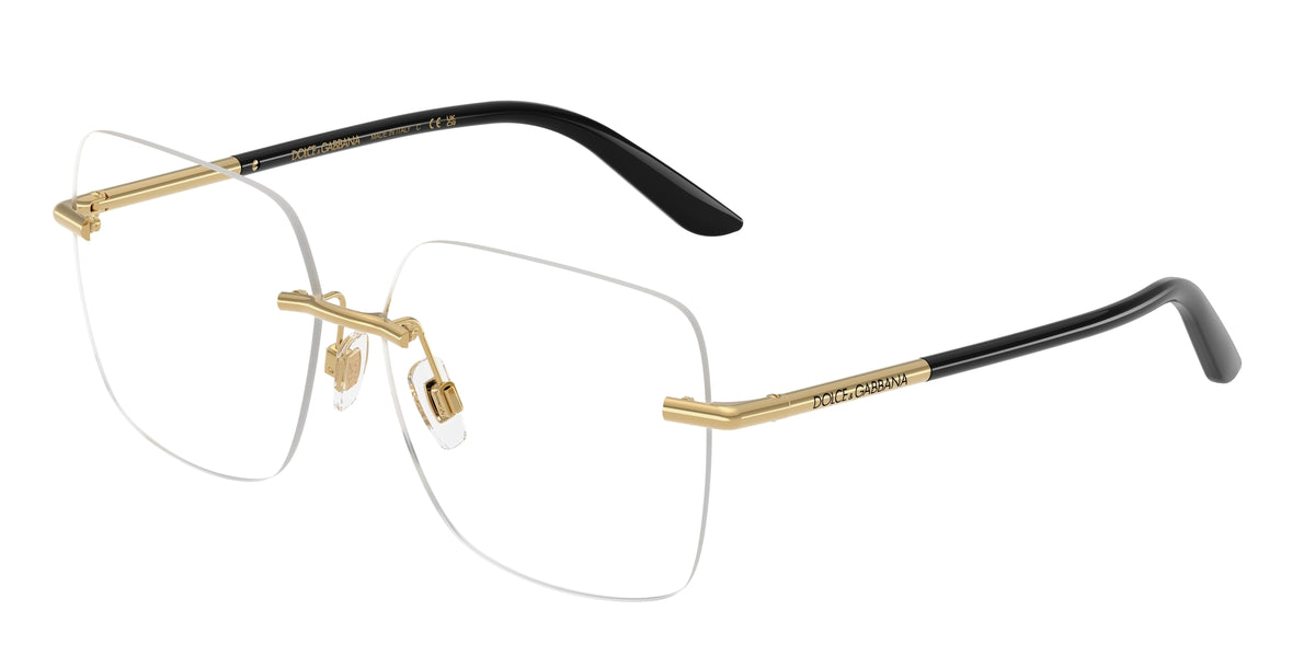 Dolce & Gabbana DG1360 02