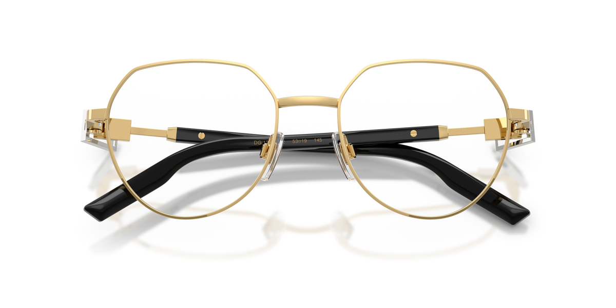 Dolce & Gabbana DG1362 02