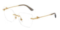 Dolce & Gabbana DG1363 02