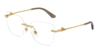 Dolce & Gabbana DG1363 02