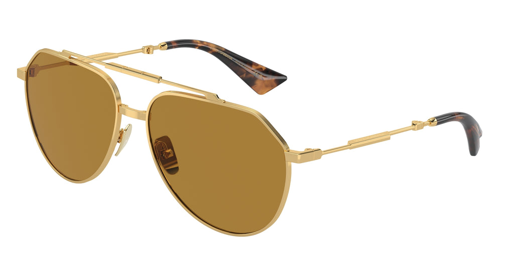 Dolce & Gabbana DG2302 02/53