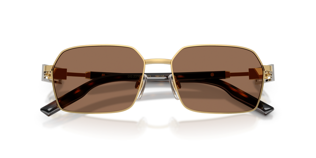 Dolce & Gabbana DG2316 02/73