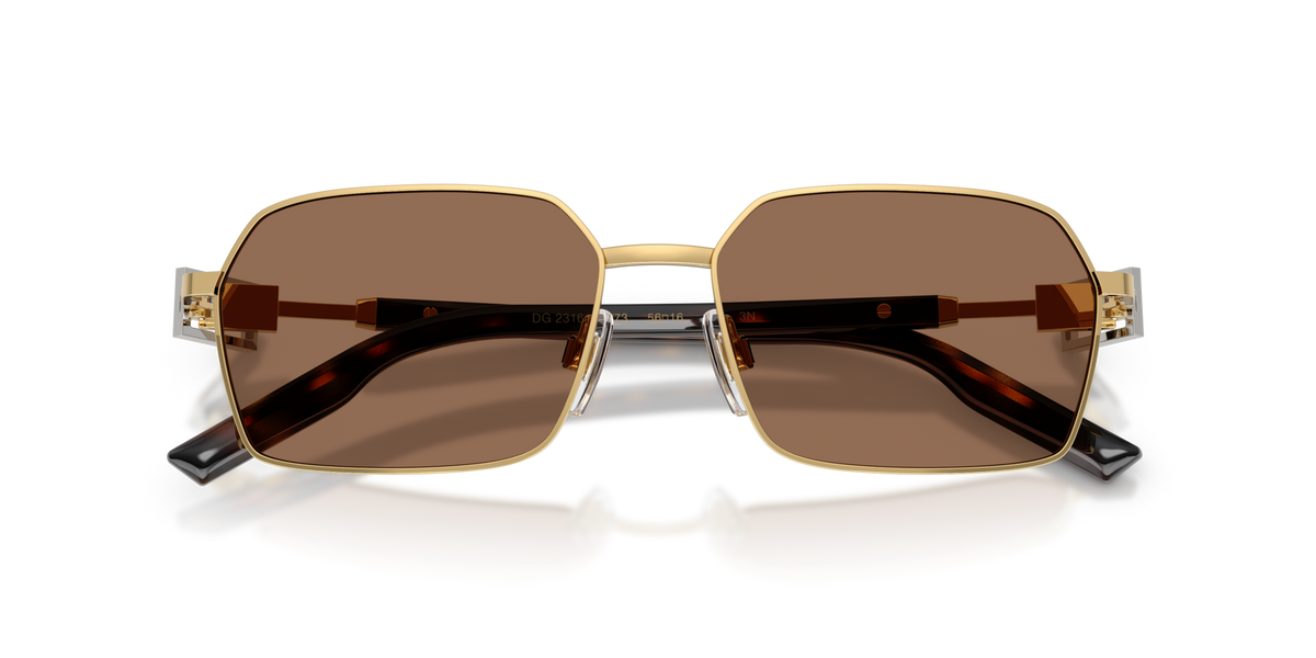 Dolce & Gabbana DG2316 02/73