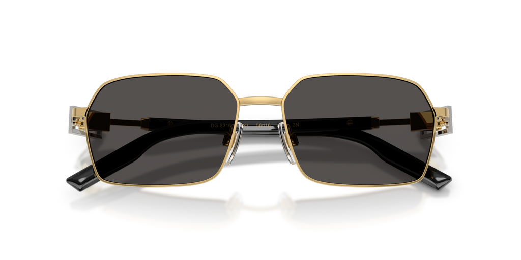 Dolce & Gabbana DG2316 02/87