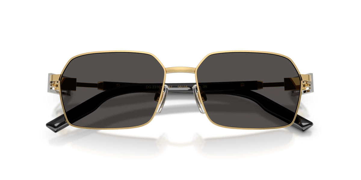 Dolce & Gabbana DG2316 02/87